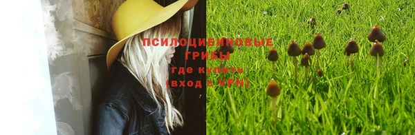 гашишное масло Белокуриха