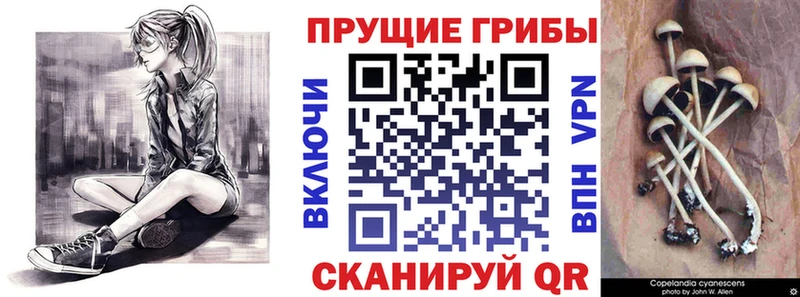 Галлюциногенные грибы прущие грибы  это формула  Среднеуральск 